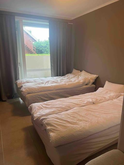 Fin Leilighet I Rolig Omrade I Trondheim Apartamento Hoiset Exterior foto